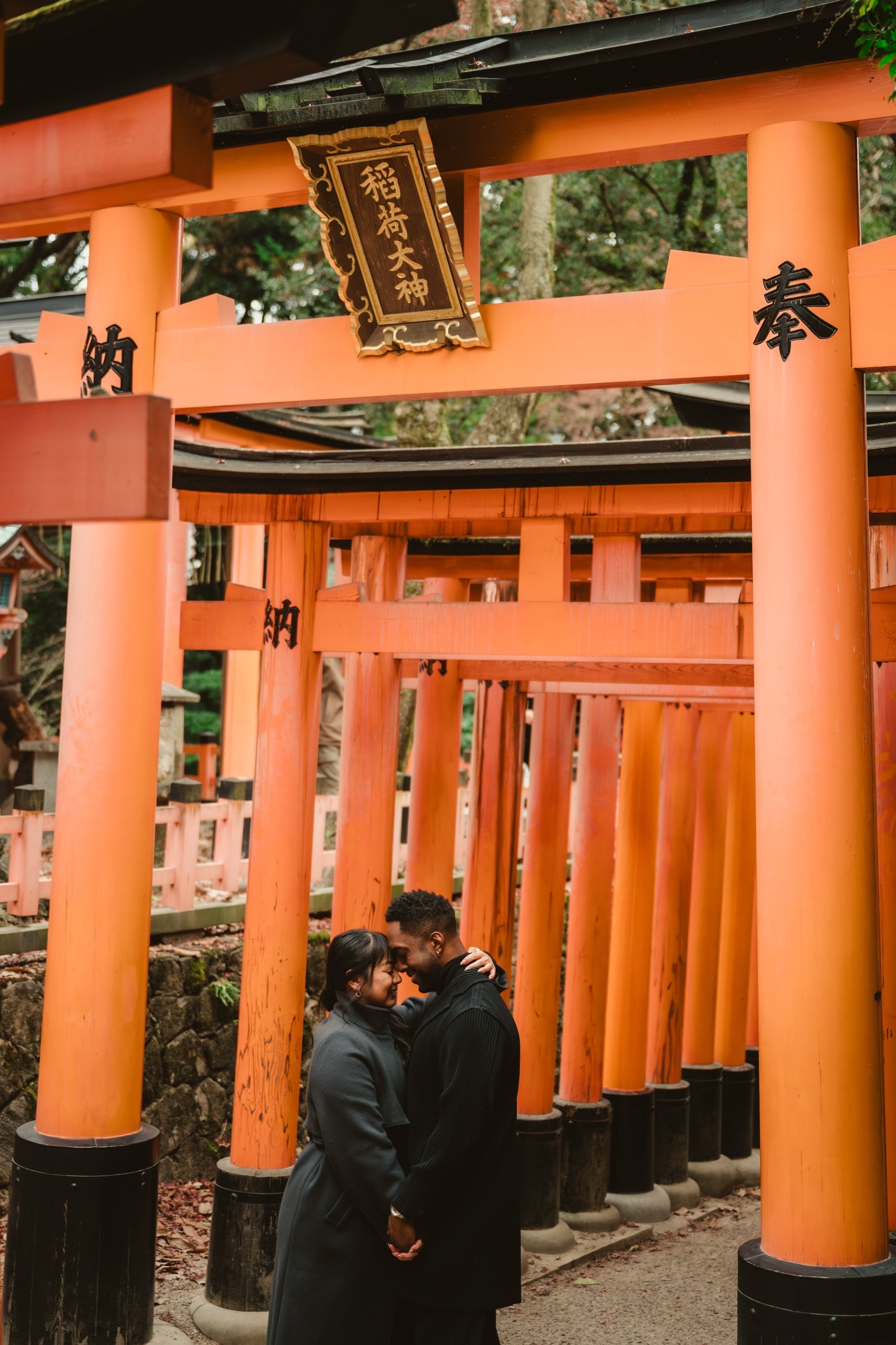 carousel-hero-element image-0