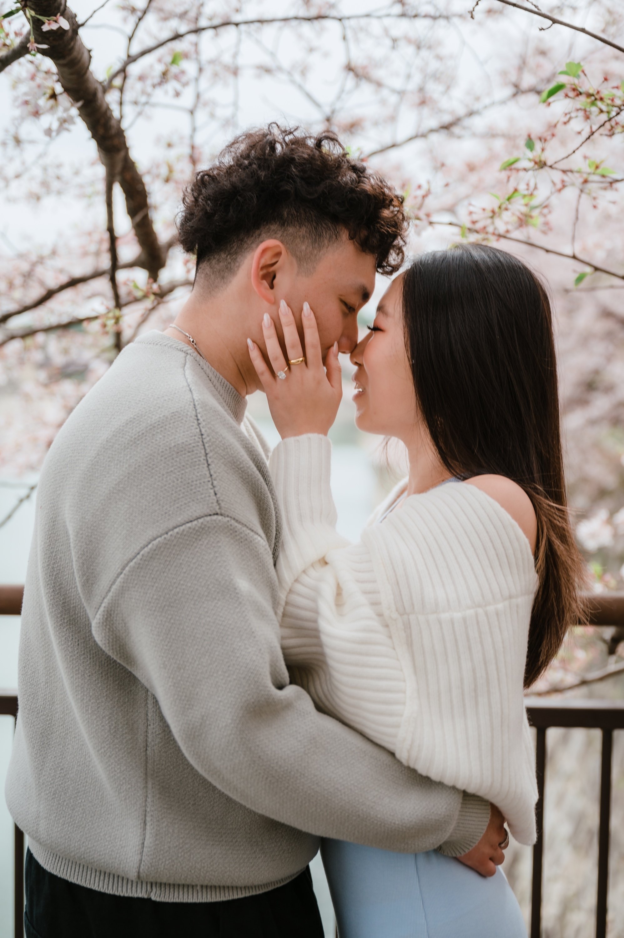 carousel-hero-element image-2