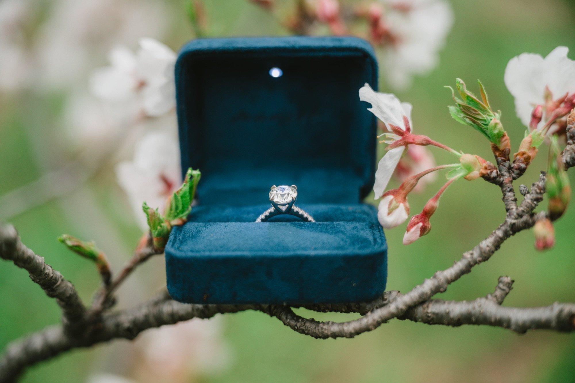 carousel-hero-element image-12