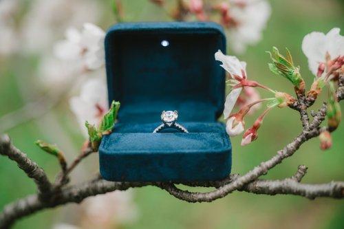 mobile - carousel-hero-element image-12