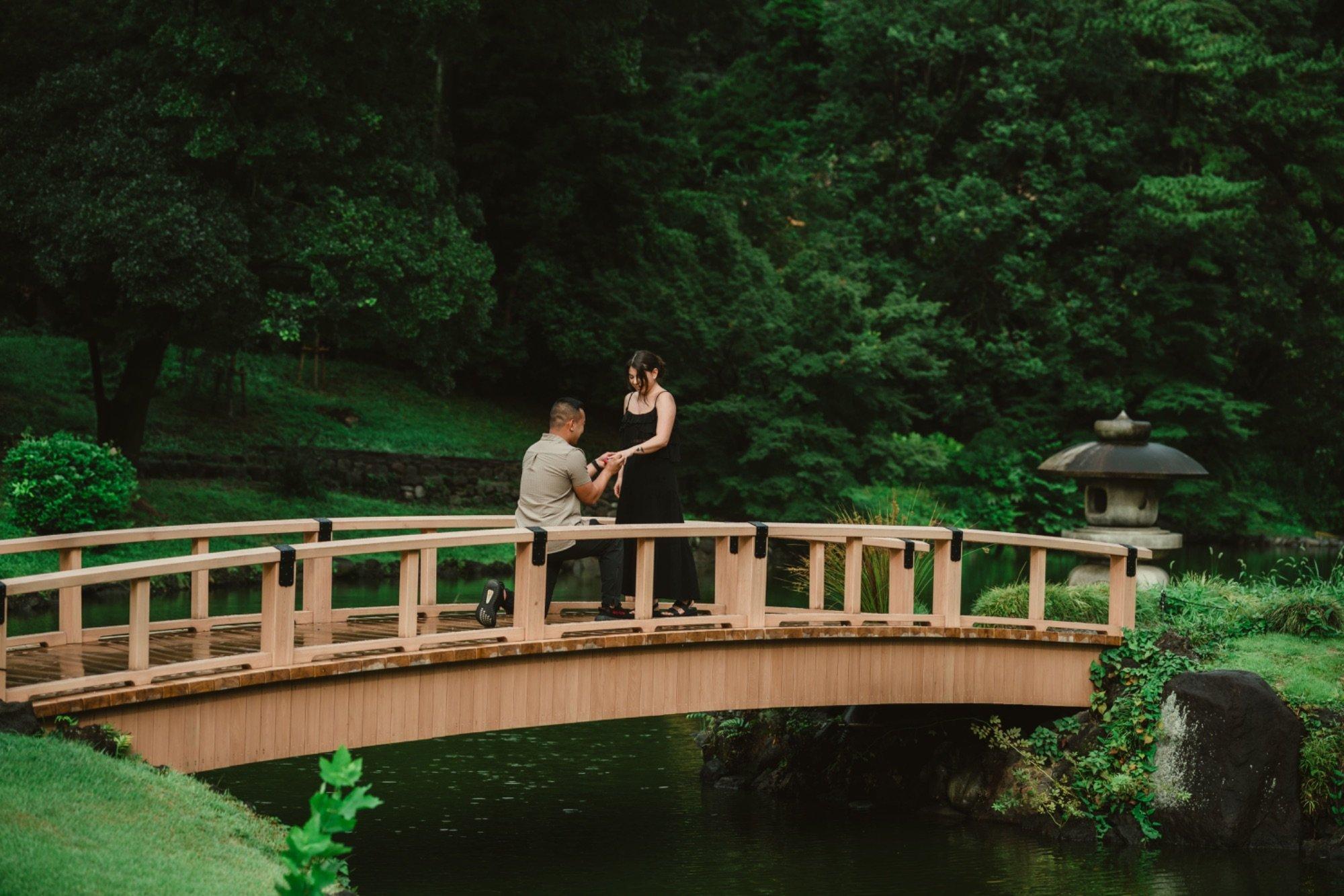 carousel-hero-element image-7