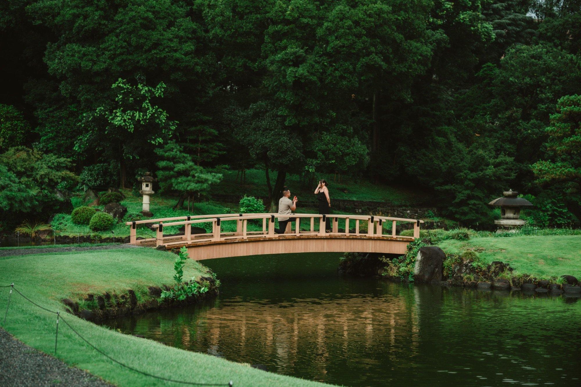 carousel-hero-element image-6